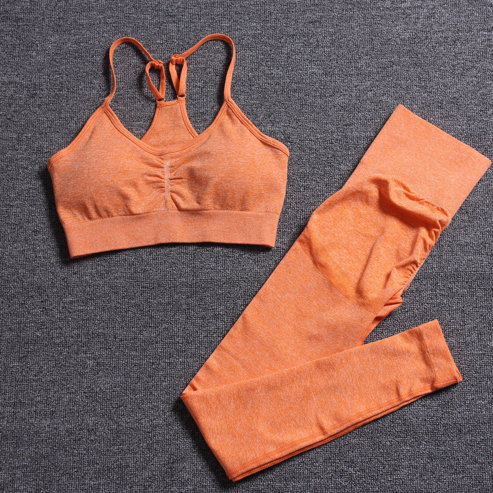 Seamless Set Gym Workout Clothes for Women