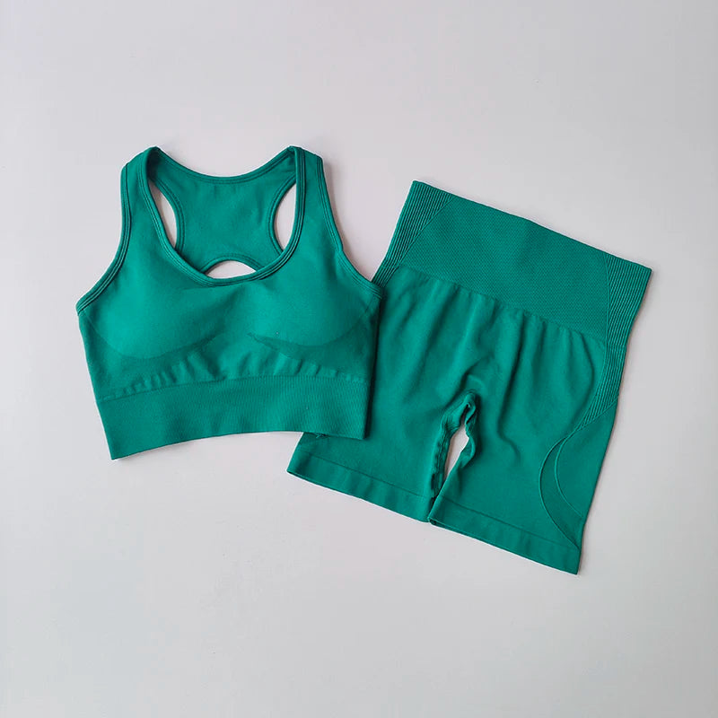 2 PCS Women Seamless Yoga Set