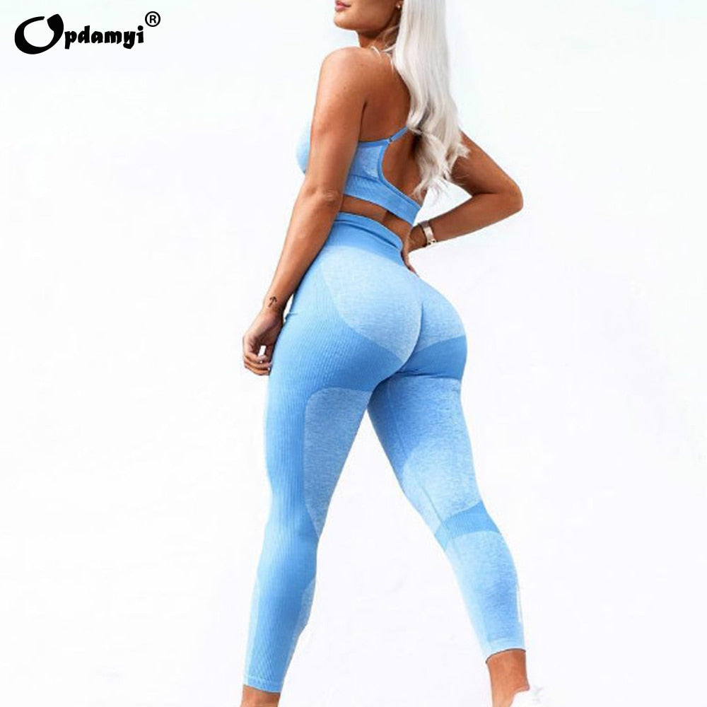 Yoga High Waist Leggings Seamless Set + Sports Bra