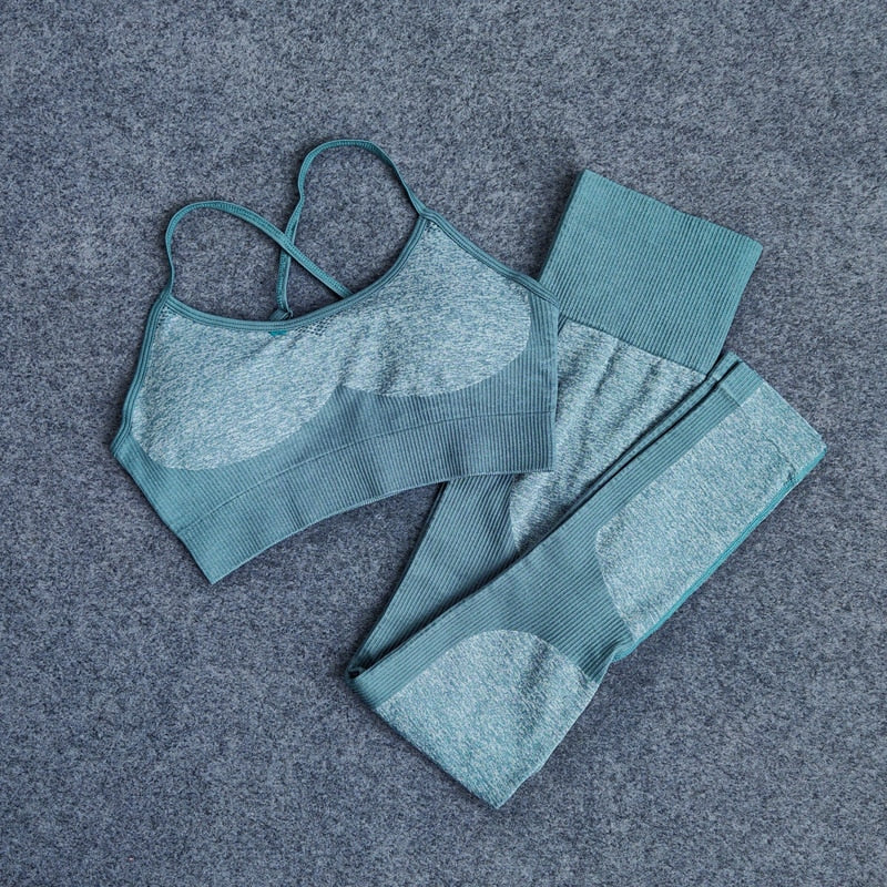 Yoga High Waist Leggings Seamless Set + Sports Bra