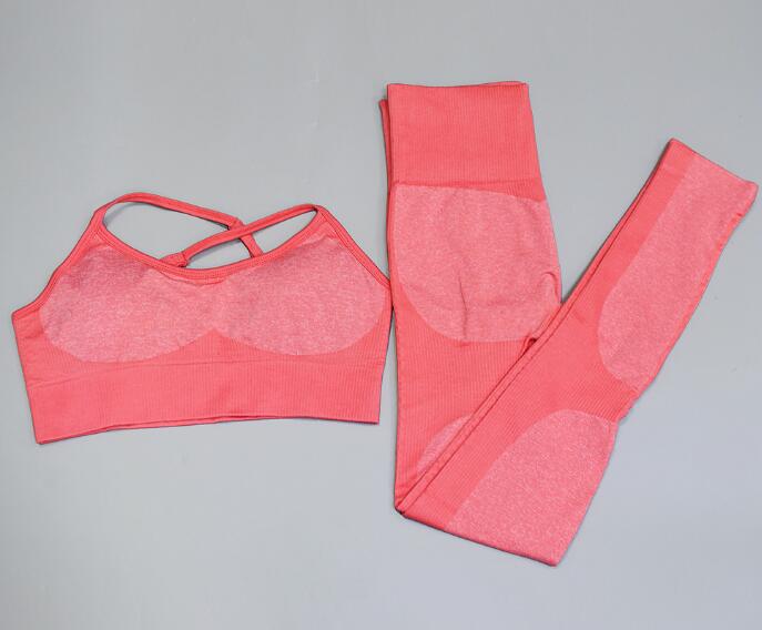 Newest Women Seamless set