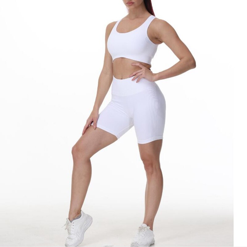 High Waist Set Shorts + Sports Bra
