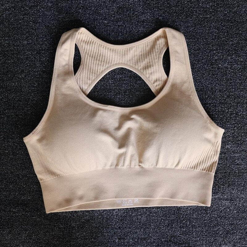 High Waist Set Shorts + Sports Bra