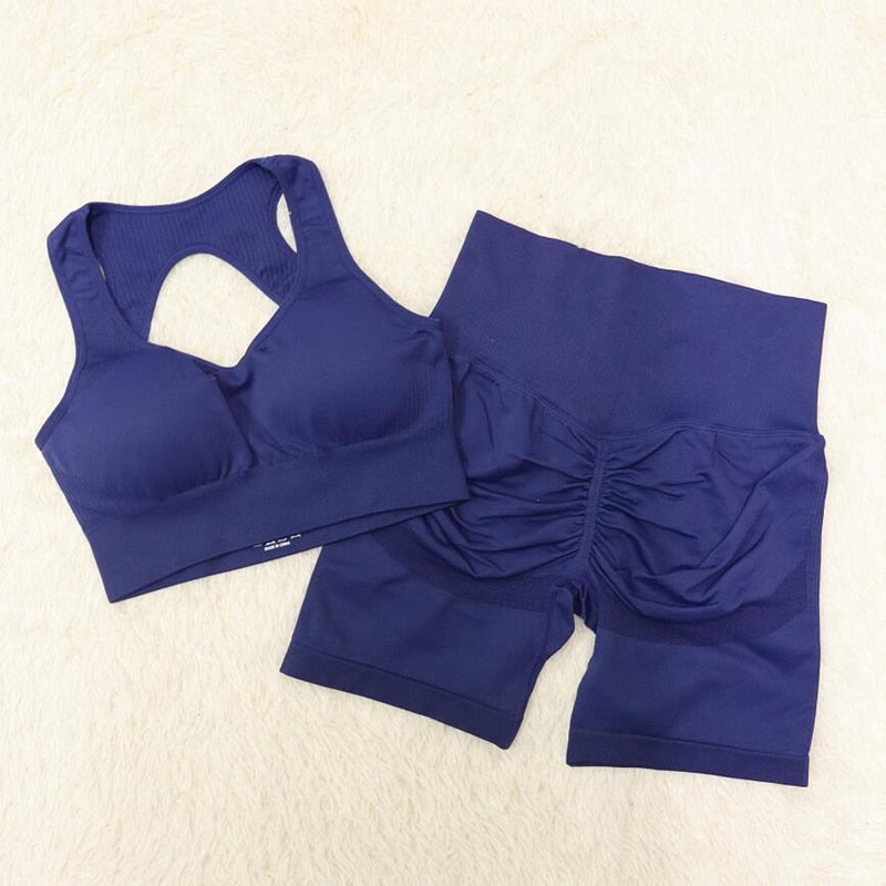 High Waist Set Shorts + Sports Bra