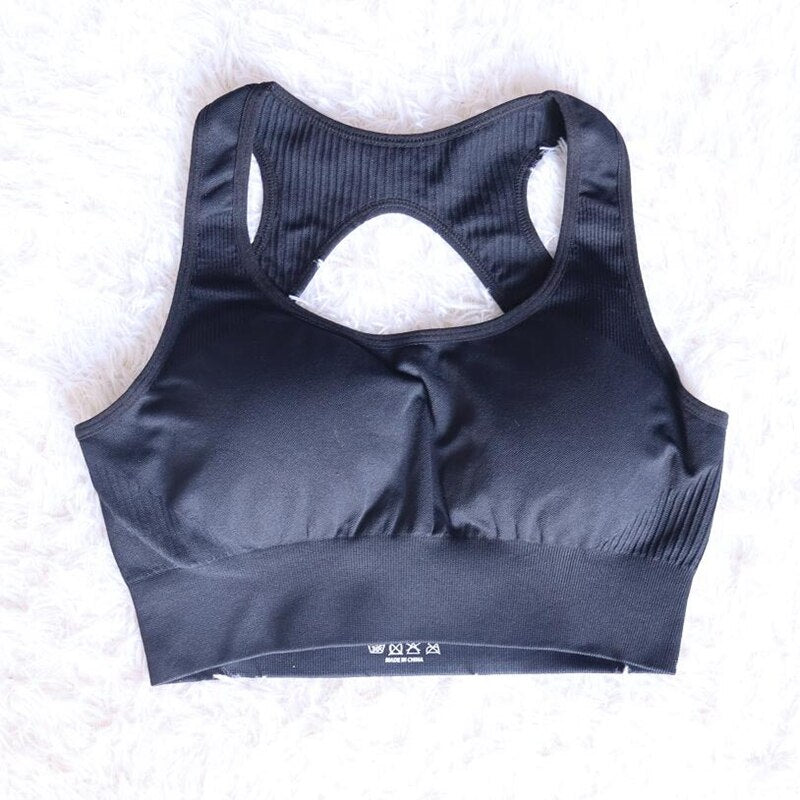 High Waist Set Shorts + Sports Bra