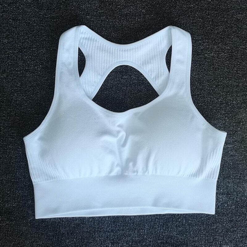 High Waist Set Shorts + Sports Bra