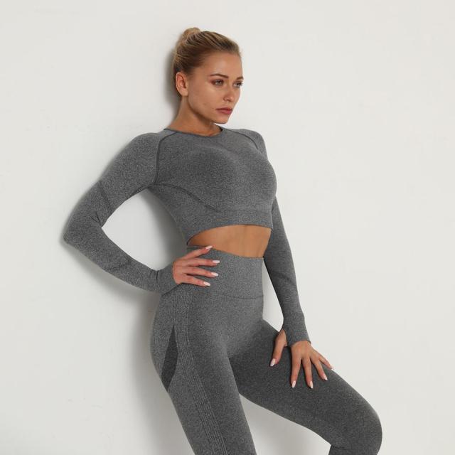 Seamless Yoga Set, Fitness Sports Suits